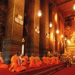 monges-wat-pho-temple-bangkok