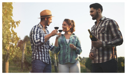 WINE EXPERIENCE - Férias de Julho Chile