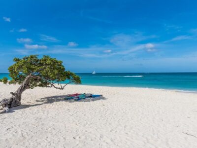 A horizontal shot of the beautiful view of the beach and sea, with towels laid out under a tree in Aruba CREATOR: gd-jpeg v1.0 (using IJG JPEG v80), quality = 100